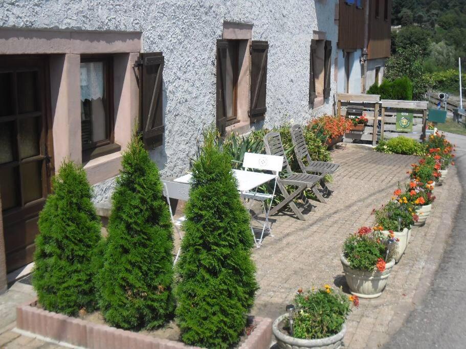 Gite La Fermette A Docelles Экстерьер фото