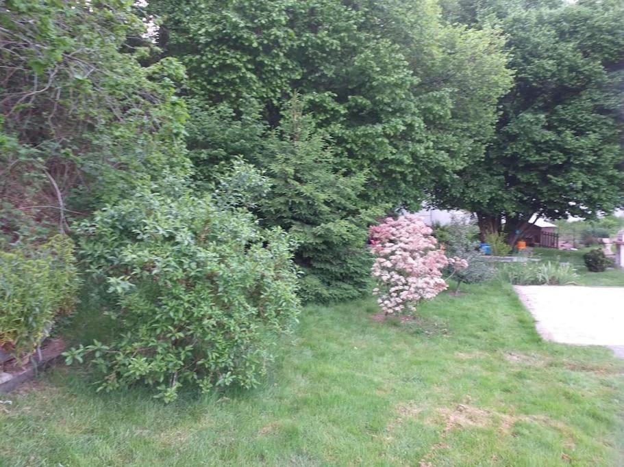 Gite La Fermette A Docelles Экстерьер фото